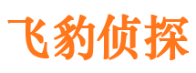 合浦捉小三公司